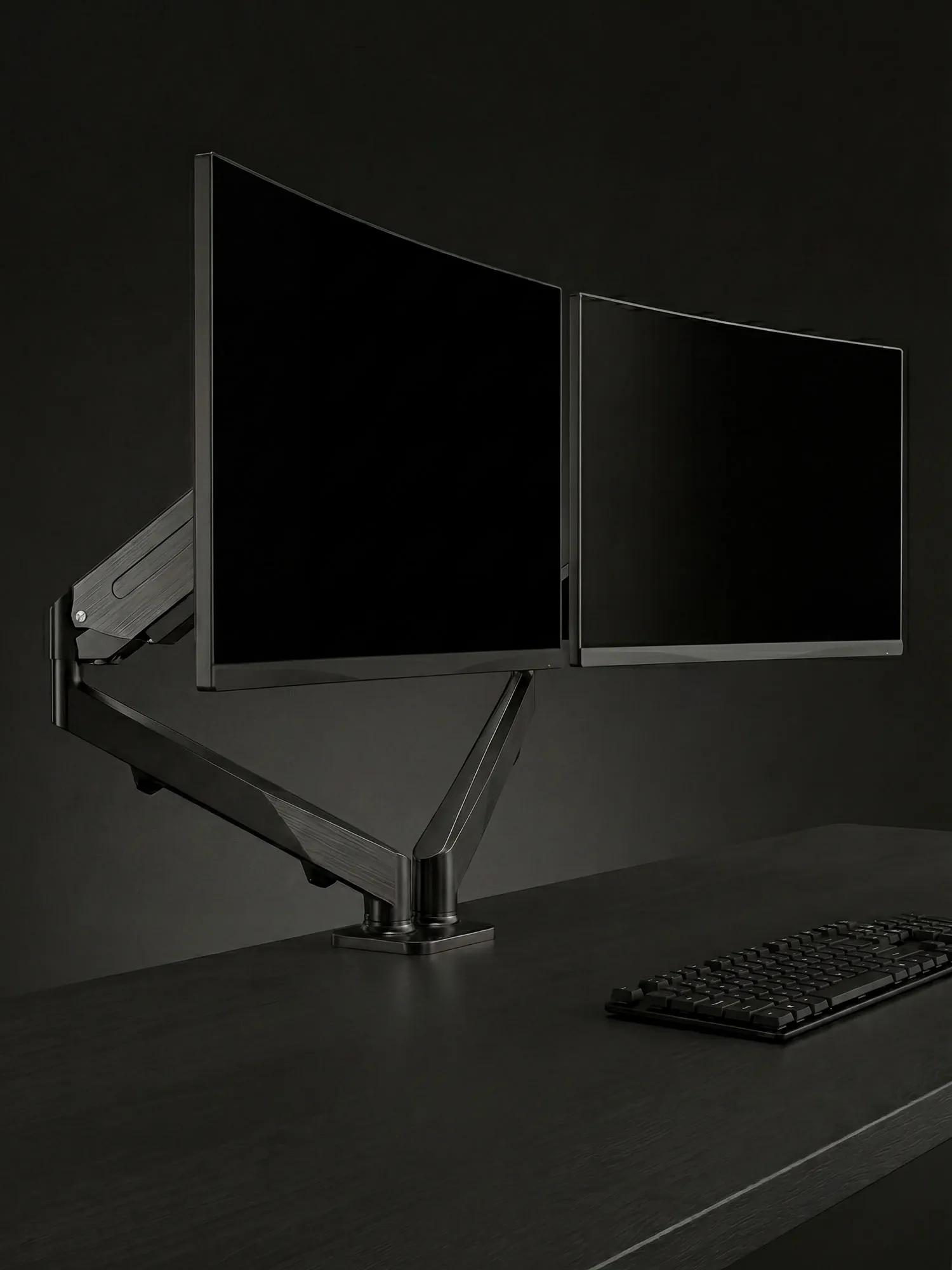 זרוע מסך כפולה Duo — d3